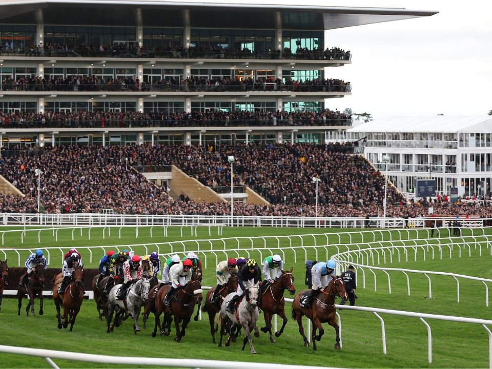 Cheltenham Festival 2025 Racing Hospitality Gullivers Sports Travel